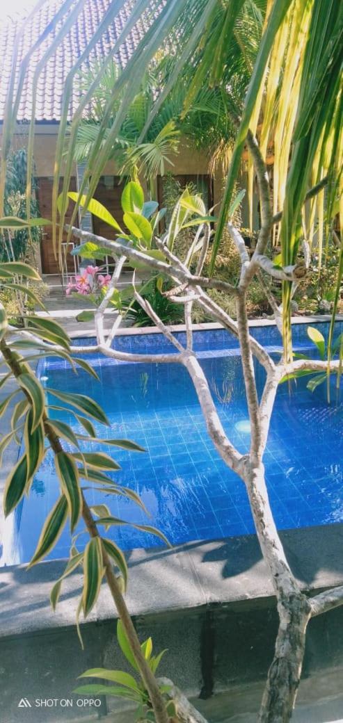 Belong Lembongan Homestay *